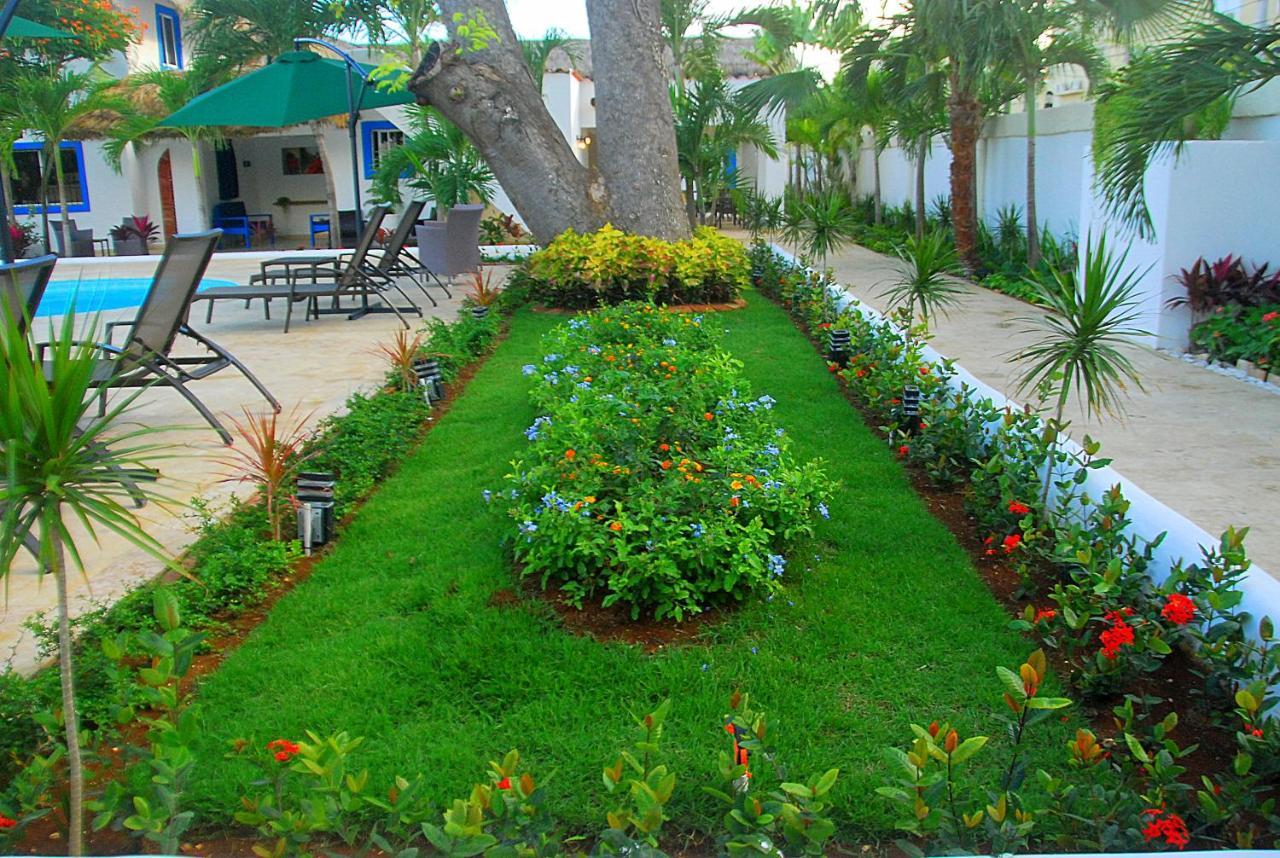 Nuovo Hotel Playa Catalina La Romana Ngoại thất bức ảnh