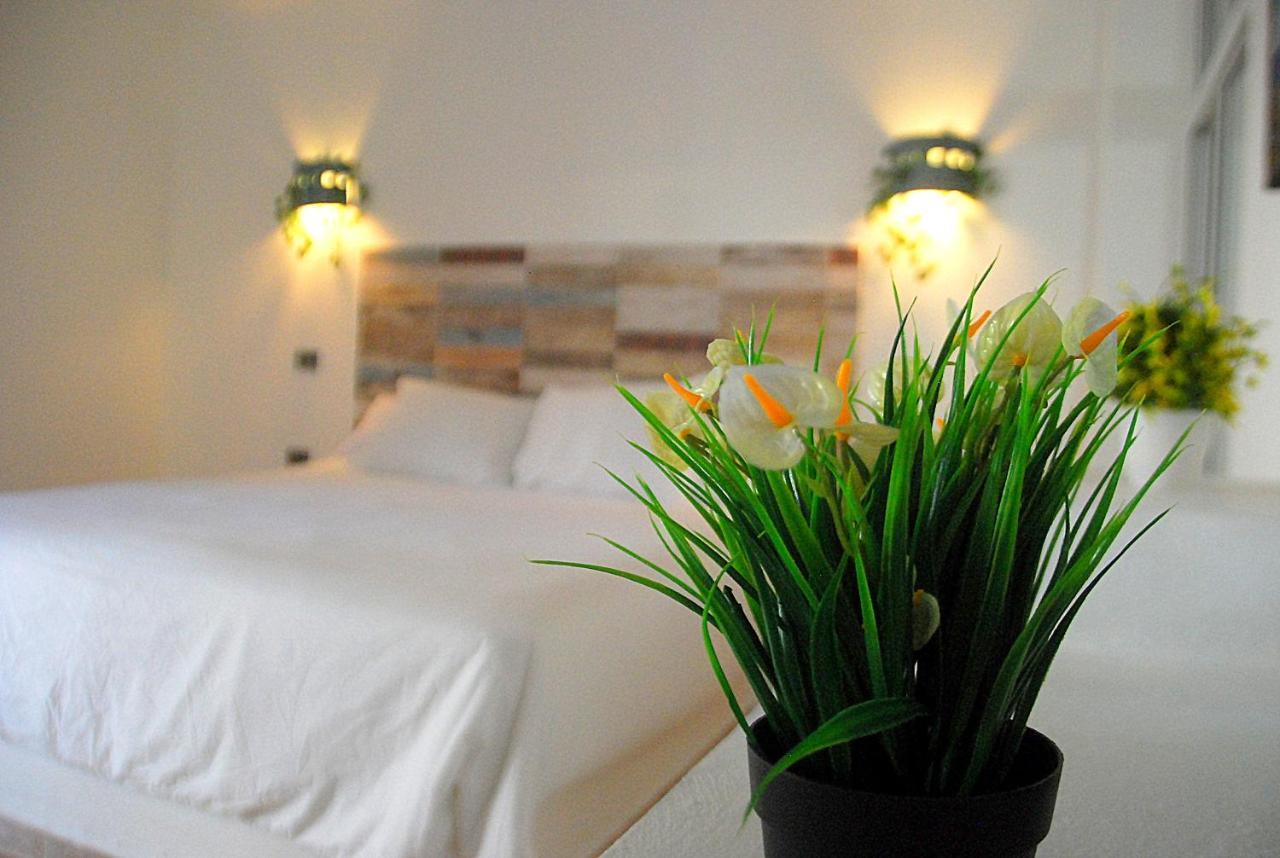 Nuovo Hotel Playa Catalina La Romana Ngoại thất bức ảnh