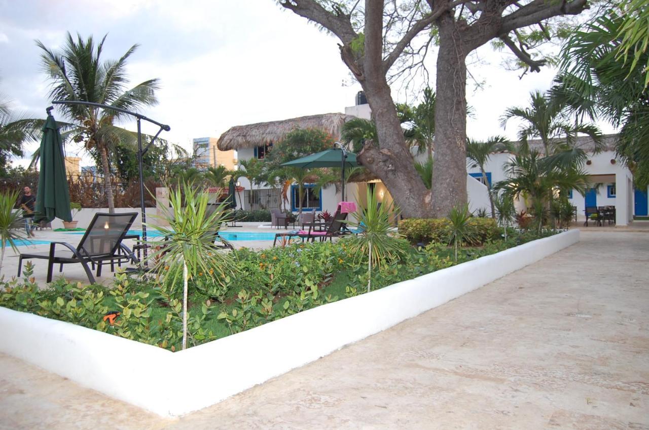 Nuovo Hotel Playa Catalina La Romana Ngoại thất bức ảnh